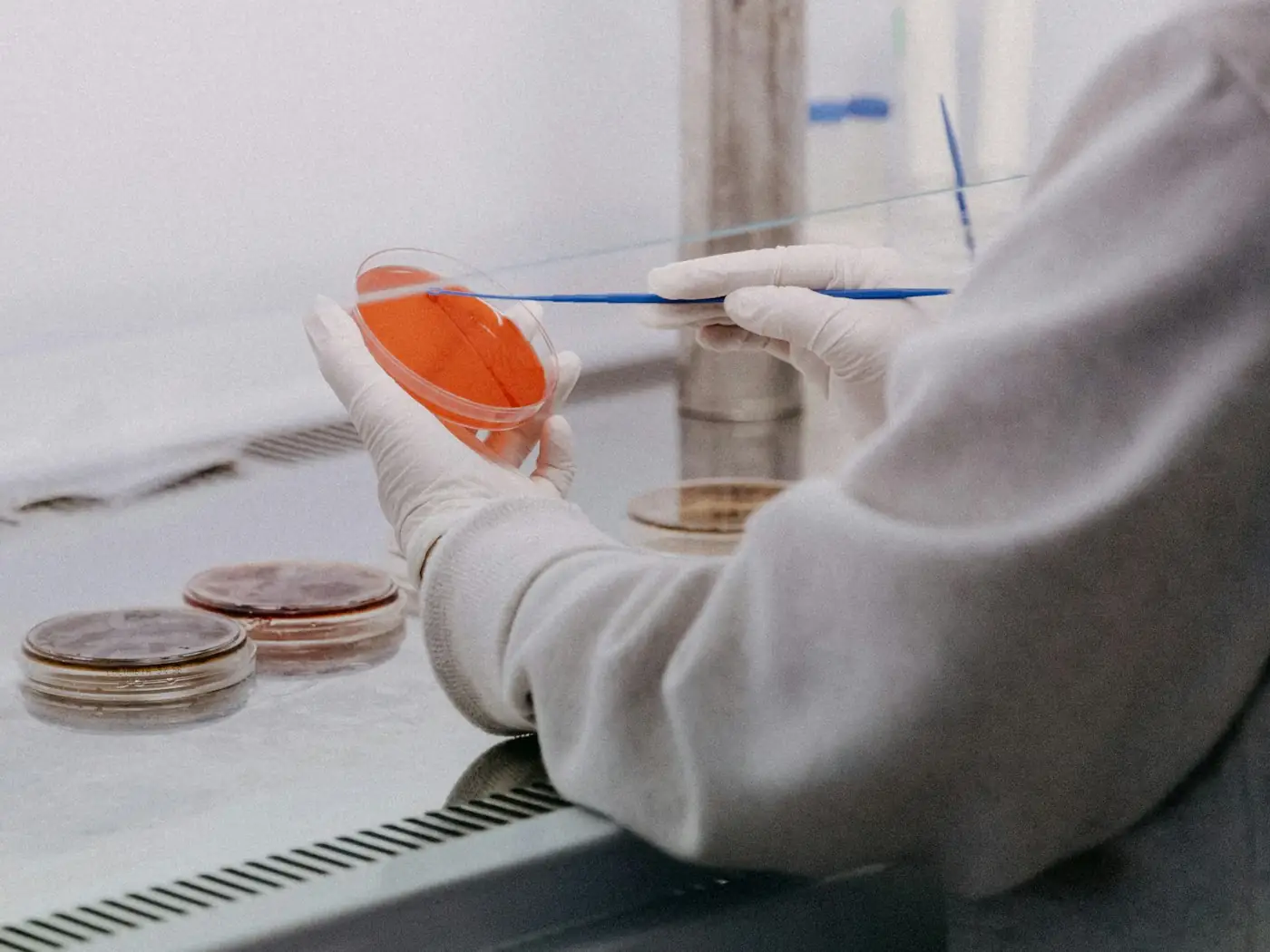 Lab technician handling test samples